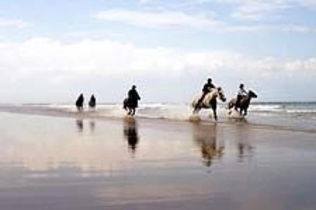 Bed and Breakfast Knights Haven Glin Экстерьер фото