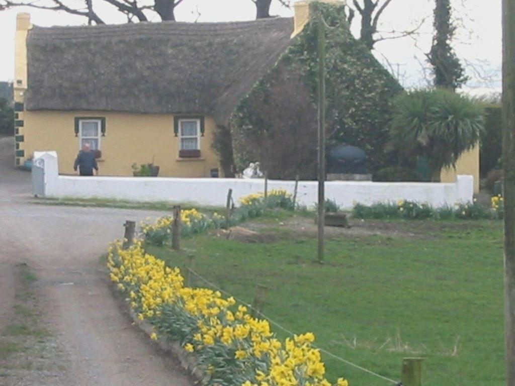 Bed and Breakfast Knights Haven Glin Экстерьер фото